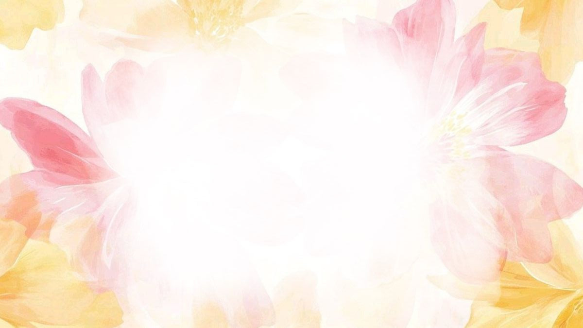 collection-banner-image